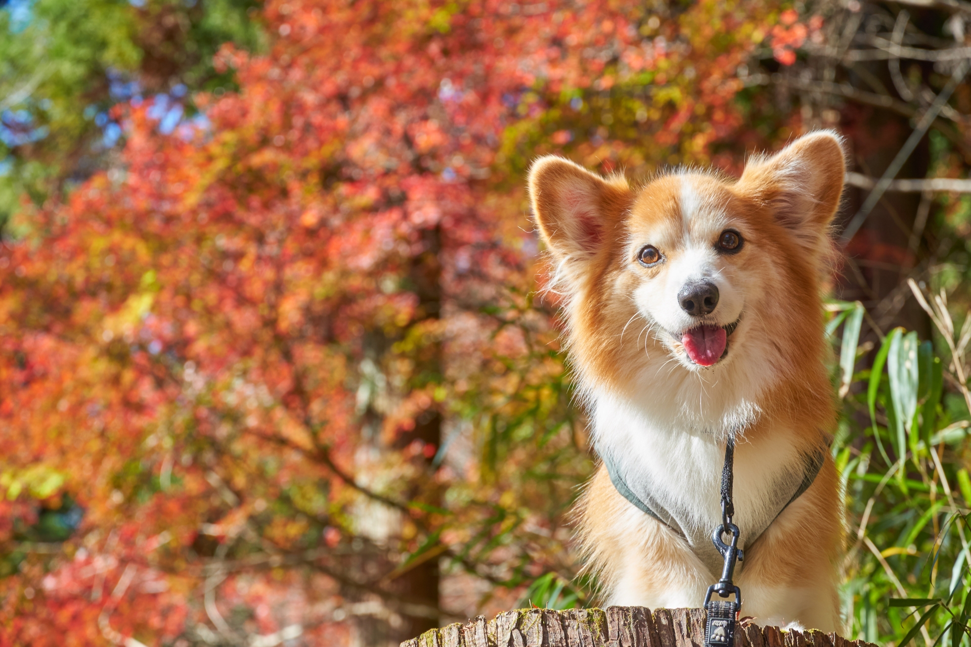 Find 10 Best Indoor Places to Walk Near Me on a Rainy Day