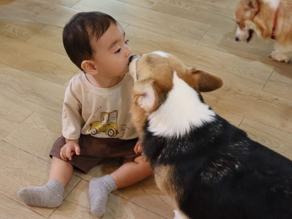 日常の留守番スケジュール